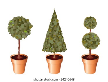 Vector of standard trees in terracotta pots isolated on white. Also available as jpg