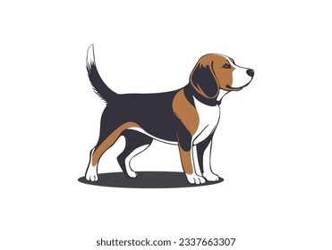 Vector standing cute beagle dog. Friendly pet. English hunting doggy. White isolated background.