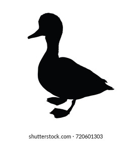 Vector standing duck silhouette on white background.