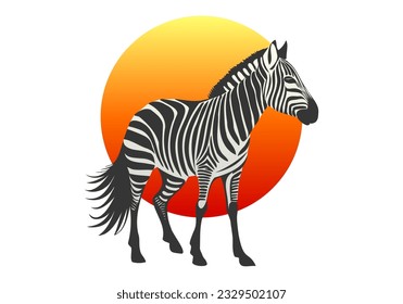 Vector standing striped African zebra on the background of the sun. Sunset or sunrise. Wild artiodactyl animal of the savannah. Isolated white background.