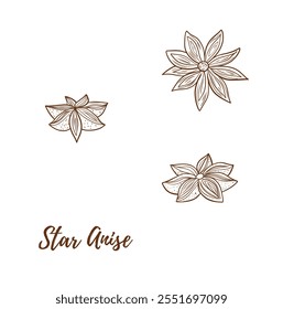 Vector star anise line art illustration, graphic line art. Elegant line botanical illustration. Anise spice. Spices for mulled wine. Great for any designs, textile, art, walls, package