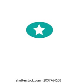 vector star logo or minimalist illustration