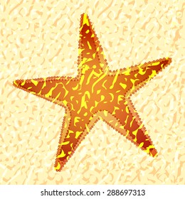 Vector Starfish. Starfish on seamless texture