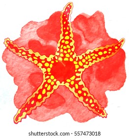 vector starfish on watercolor background corals
