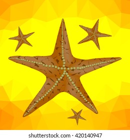 Vector Starfish on a Yellow Polygonal Background