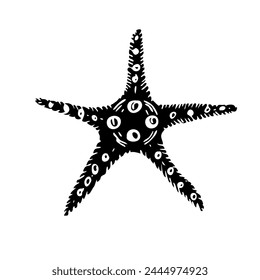 Vector estrella de mar ilustración de la silueta vista superior. Dibujado a mano de la estrella del mar. Dibujo submarino de concha marina. Ilustración monocroma negra. Elemento de diseño aislado para icono, logotipo, tienda de mariscos, menú