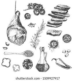 vector steak hand drawn illustration. flat lay food sketch of meat, spices, vegetables. barbecue ingredients for design template