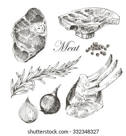 vector steak meat hand drawing with pepper and rosemary. detailed ink food illustration