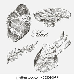 vector steak meat hand drawing with pepper and rosemary. detailed ink food illustration