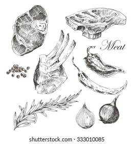 vector steak meat hand drawing with pepper and rosemary. detailed ink food illustration