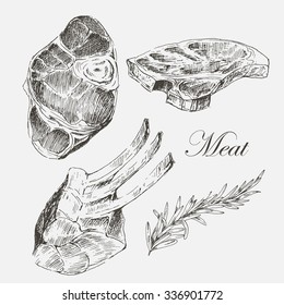 vector steak meat hand drawing with pepper and rosemary. detailed ink food illustration