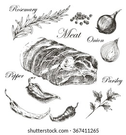 vector steak meat hand drawing with pepper and rosemary. detailed ink food illustration