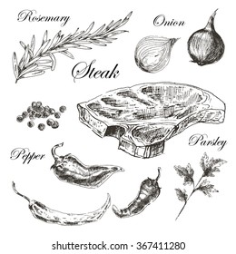 vector steak meat hand drawing with pepper and rosemary. detailed ink food illustration