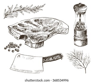 vector steak meat hand drawing with pepper and rosemary. detailed ink meat cut food illustration