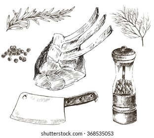 vector steak meat hand drawing with pepper and rosemary. detailed ink meat cut food illustration