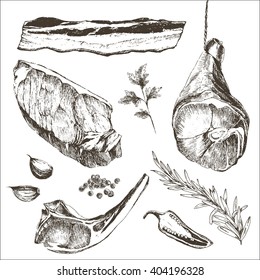 Vector Steak Meat Hand Drawing With Pepper And Rosemary. Detailed Ink Food Illustration. Parma Ham Drawing. Lamb Rib Drawing. Sirloin Steak Drawing. Bacon Crisp Slice