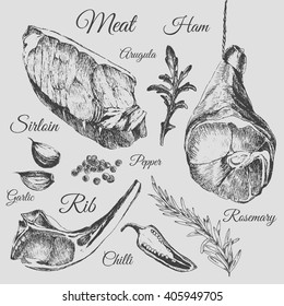 vector steak meat hand drawing with pepper and rosemary. detailed ink food illustration