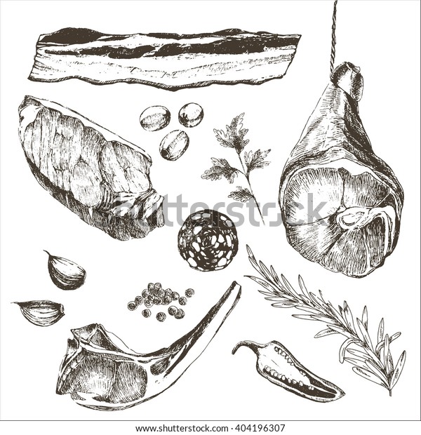 ベクターステーキ肉の手描きのコショウとローズマリー 詳しいインク食べ物のイラスト パルマハムの絵 ラム肉の肉の絵 シロインステーキのドローイング サラミのスライス ベーコンスライス のベクター画像素材 ロイヤリティフリー