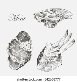 vector steak meat pork and beef hand drawing. detailed ink food illustration