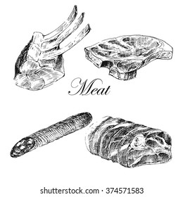 vector steak meat sketch hand drawing. detailed ink meat products food illustration