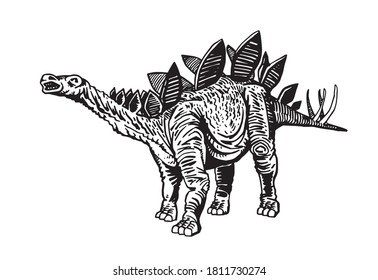 Vector stegosaurus isolated, graphical illustration of dinosaur