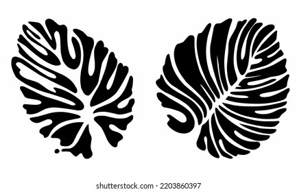 Gráfica vectorial de hojas exóticas