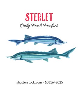 Vector Sterlet. Icono de la insignia de pescado para el diseño de envases de mariscos y el mercado.