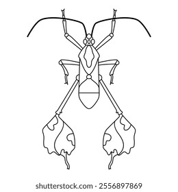 Vector Stick Bug Insect Cartoon Illustration Isolated