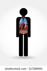 vector stick man with internal organs structure