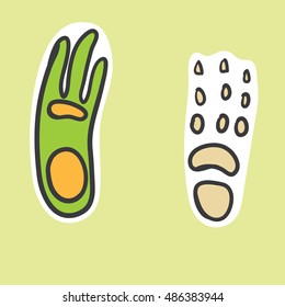 vector sticker with cute cartoon dino steps