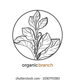 Vector sticker of floral nature branch with leaf, flower, berry. Botanical art line drawing design in circle. Realistic plant in round frame Eco tropic plant Logo graphic sketch Organic illustration 