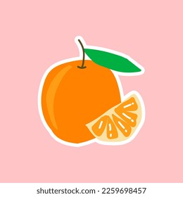 fruta naranja vectorial, fruta naranja troceada a mano
