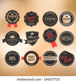 Vector and sticker set of vintage labels