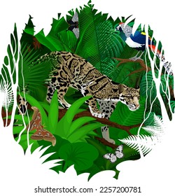 Vector sticker - tropical rainforest Jungle with clouded leopard, diamond pheasant and butterflies