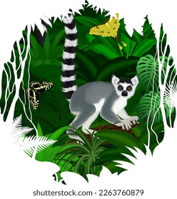 Etiqueta del vector - selva tropical selva tropical Jungle con lemur de cola anillada de Madagascar y mariposas	