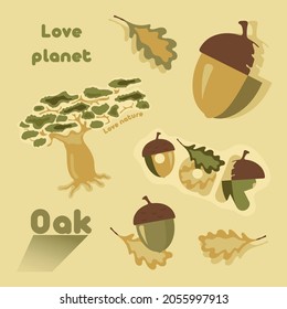 Vector stickers on the theme of nature. Image of acorns and oak. Autumn stickers. Vector image.