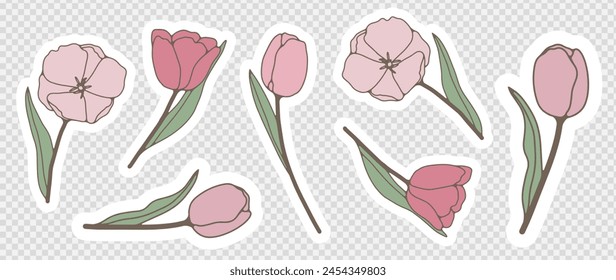 Vector stickers with pink tulips isolated on a transparent background. Hand drawn tulips, outline of tulips.