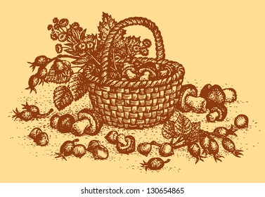 Vector still life of autumn forest harvest: mushrooms, rose hips and hazelnut in basket