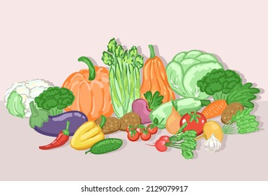 vector still life of fresh vegetables, root crops. healthy, natural food. Harvest pumpkins, beets, cabbage, tomatoes, peppers, celery, broccoli, eggplant. cartoon drawing. vegetarianism.