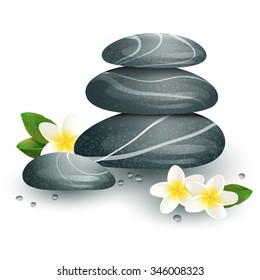 Vector still life on spa theme with stones and flowers on white  background