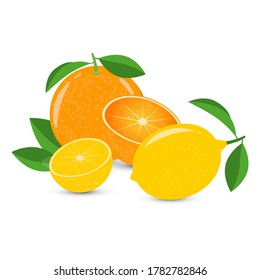 Vector still life of orange and lemon on a white background. Well balanced composition.