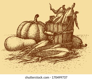 Vector still life. Sketch of the harvest of corn cobs in a wooden bucket and ripe pumpkins and squashes