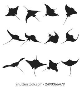 Vector stingray silhouette on white background