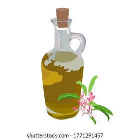 Vector stock illustration of aroma oil. Glass bottle with yellow body massage cream. Oil with a sprig of sandalwood. Pink flower . Dressing for salads, Italian dishes. Isolated on a white background.