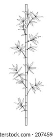 Vector stock illustration of bamboo stick with leafs - black and white image.