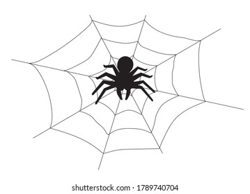 vector stock illustration. Black spider sitting on a web. On white background.