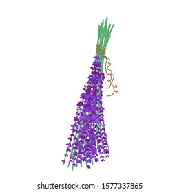 Vector stock illustration bunch of lavender. Botanical, herbal art. Aromatherapy medical pocedure. Healthy cosmetics, fresh spyce smell. 