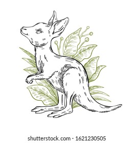 Vector stock illustration with cute baby kangaroo in plants. Clip art in engraving vintage style isolated on white. Rare Australian animal for prints, postcards, souvenirs, tattoos.