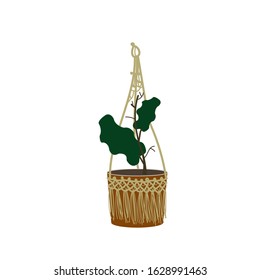 Vector stock illustration of fresh green plant in clay pot with macrame weaving. Cute children art. Cartoon style for poster, print.