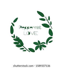 Vector stock illustration of herbal border template. Cosmetology and spa procedures. Peppermint circle frame.